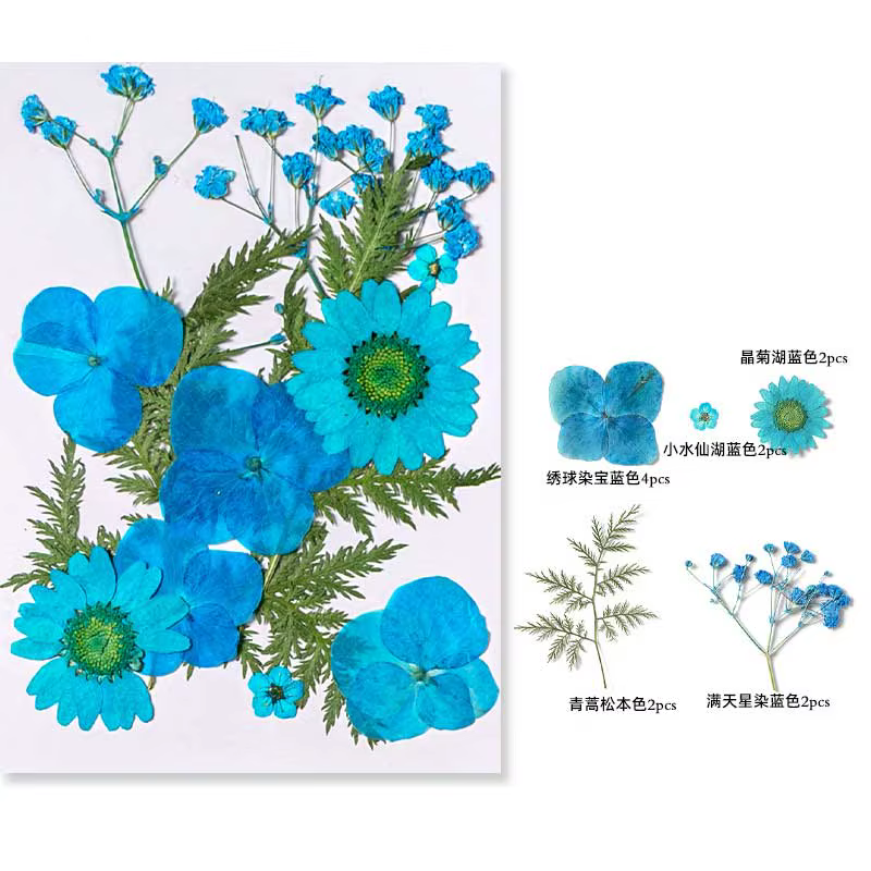 Fleurs séchées pour bricolage, moule en résine, remplissage, feuilles de vraies fleurs pressées natu