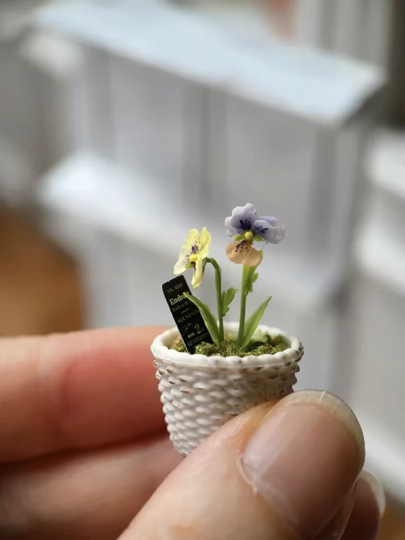 Simulation de fleurs miniatures, maison de courses, argile, pensée, jacinthe, ovale cissi, pot, plan
