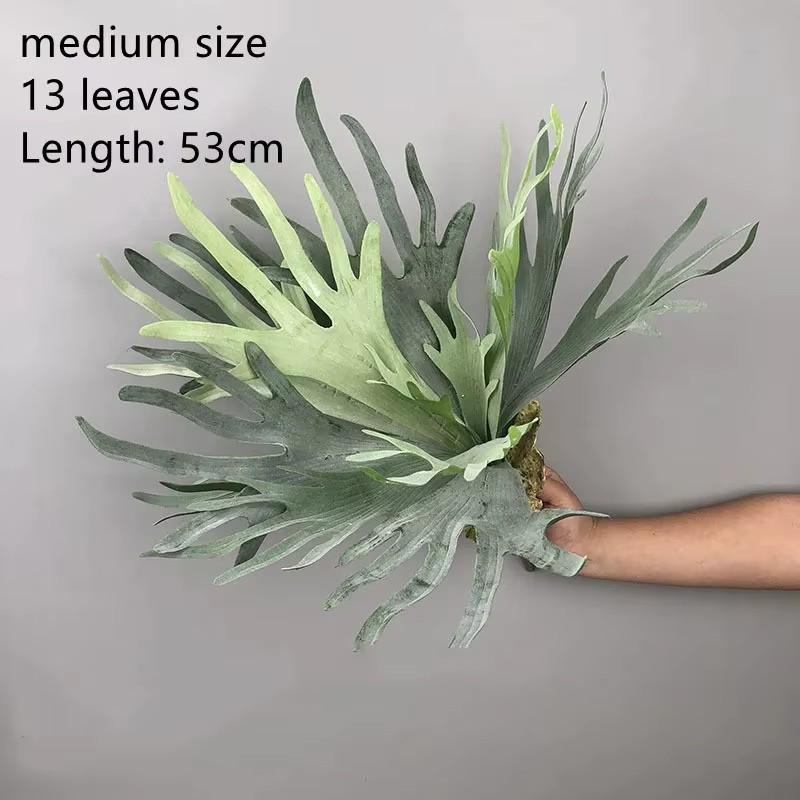 Plantes succulentes réalistes, feuilles de bois de cerf artificielles pour sol de maison, jardin de 