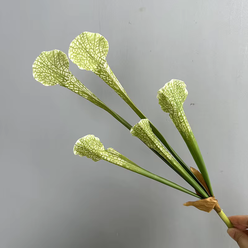 Plante artificielle à 5 feuilles, 3 pièces/lot, nepenthes communes, décoration de salon, plantes ver