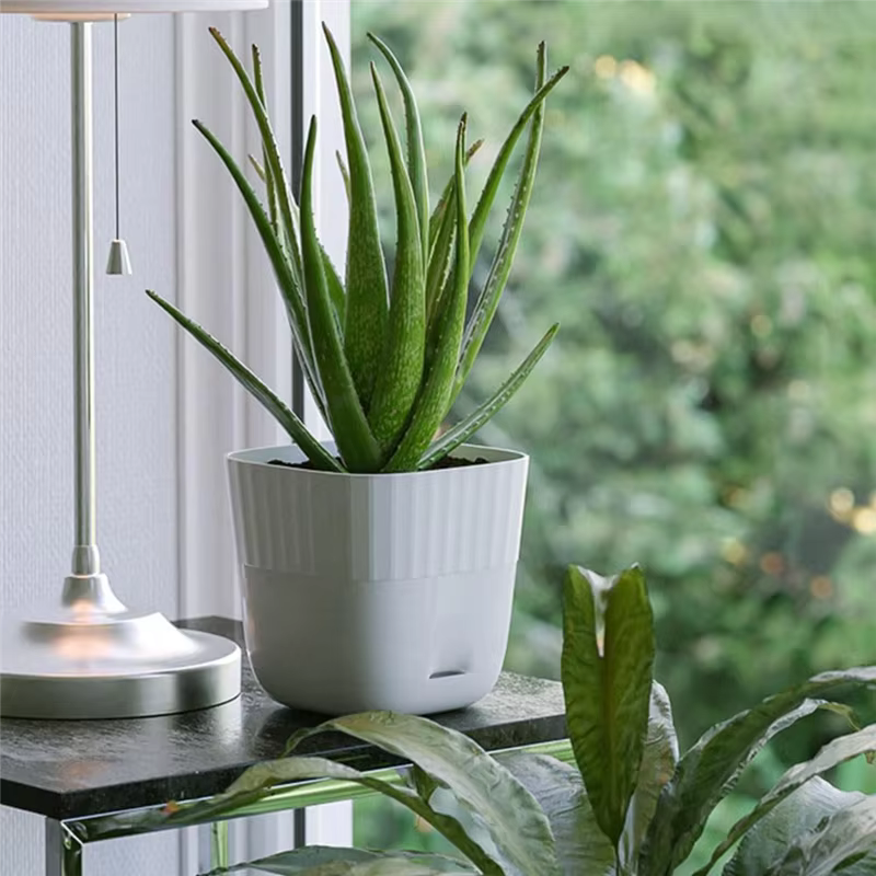FLYY-Pots de fleurs 6 pouces, paquet de 5 Pots de plantes carrés avec trous de drainage et plateau d
