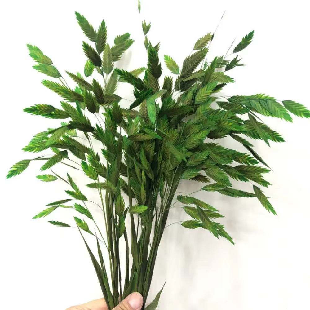 Bouquet de fleurs de Chasmanthium Latifolium séchées naturelles, 10 pièces, plantes de décoration po