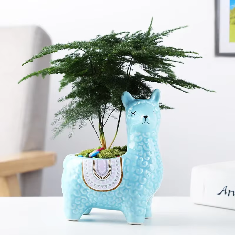 Pot de fleur succulente en alpaga, dessin animé mignon, conteneur de bureau placé en Pot, décoration