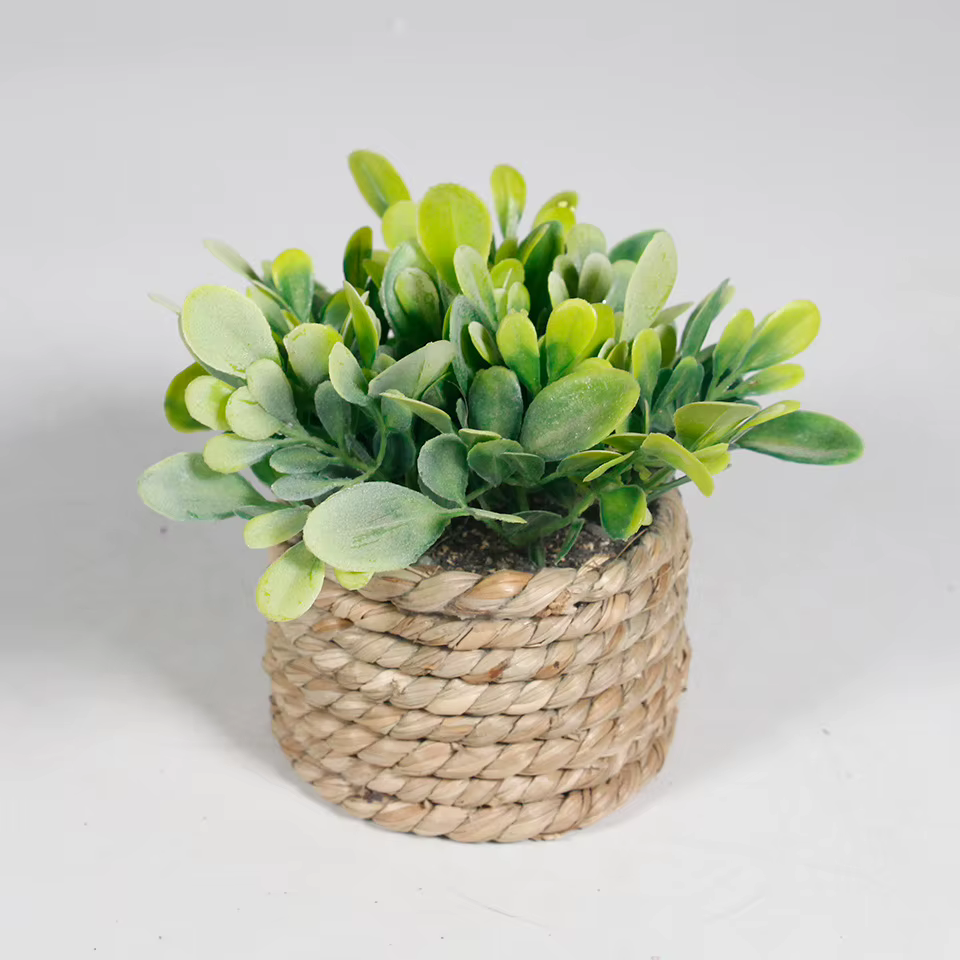 Plante artificielle verte en pot, herbe d'eucalyptus, 11 cm, plantes en pot simulées, feuilles en pl
