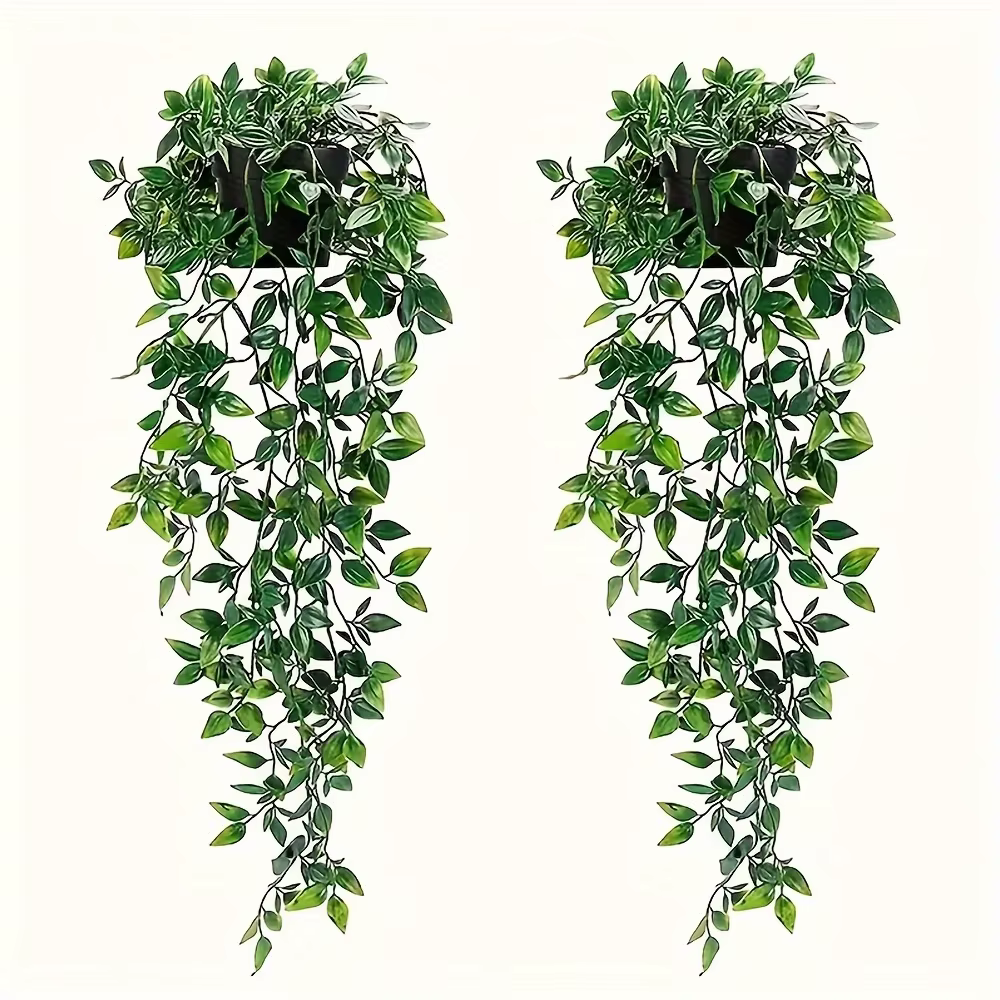 2 plantes suspendues Mandala vertes pour décoration intérieure et extérieure, salon, jardin, maison,