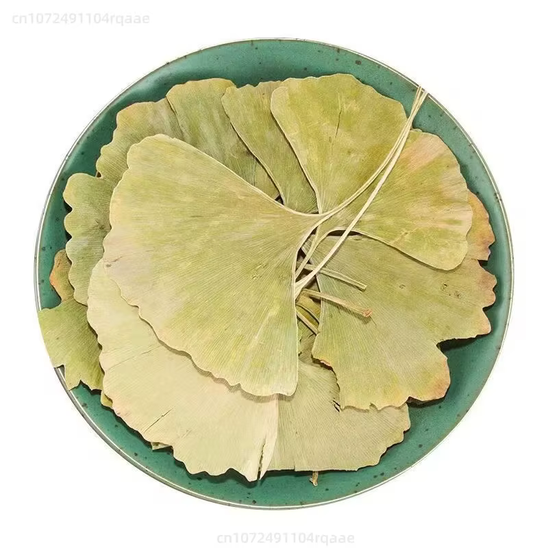 Feuilles séchées naturelles de Ginkgo Biloba, 100/400g, pour remplissage de Vase, artisanat, arrange
