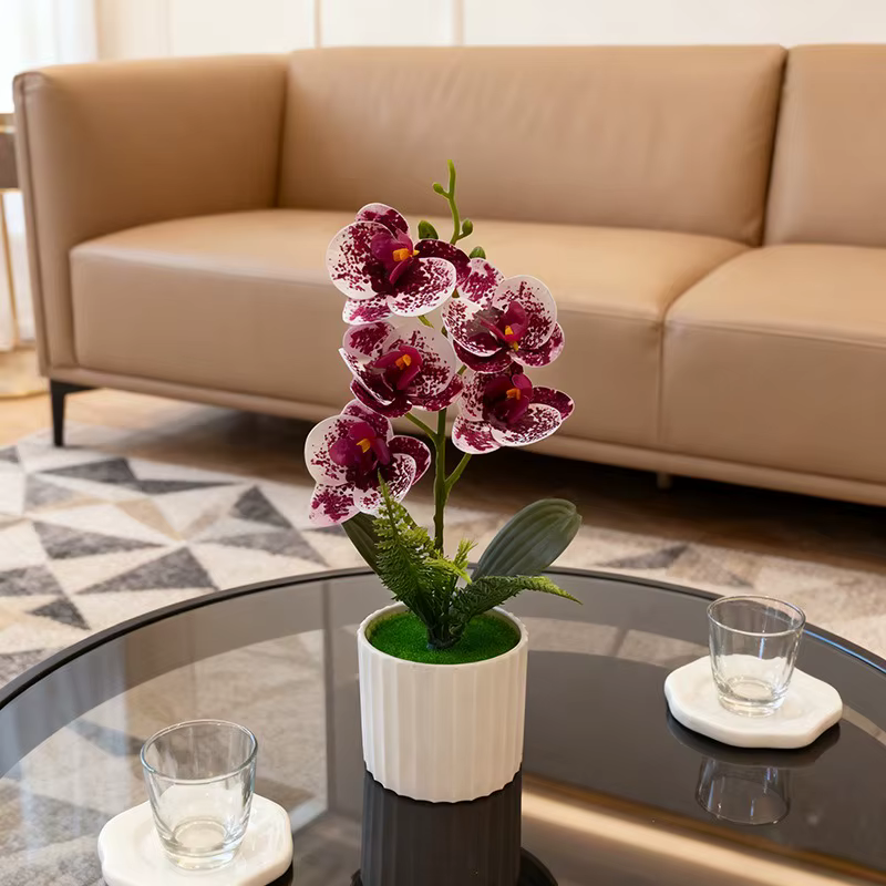 Pot de barre verticale avec 5 orchidées papillon, photographie de mariage en pot, design de ensemble