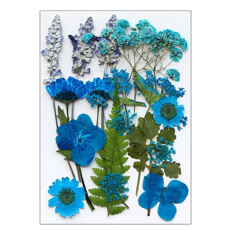 Fleur séchée pressée pour moules en résine, feuilles fleurs sèches naturelles pour fournitures d'art