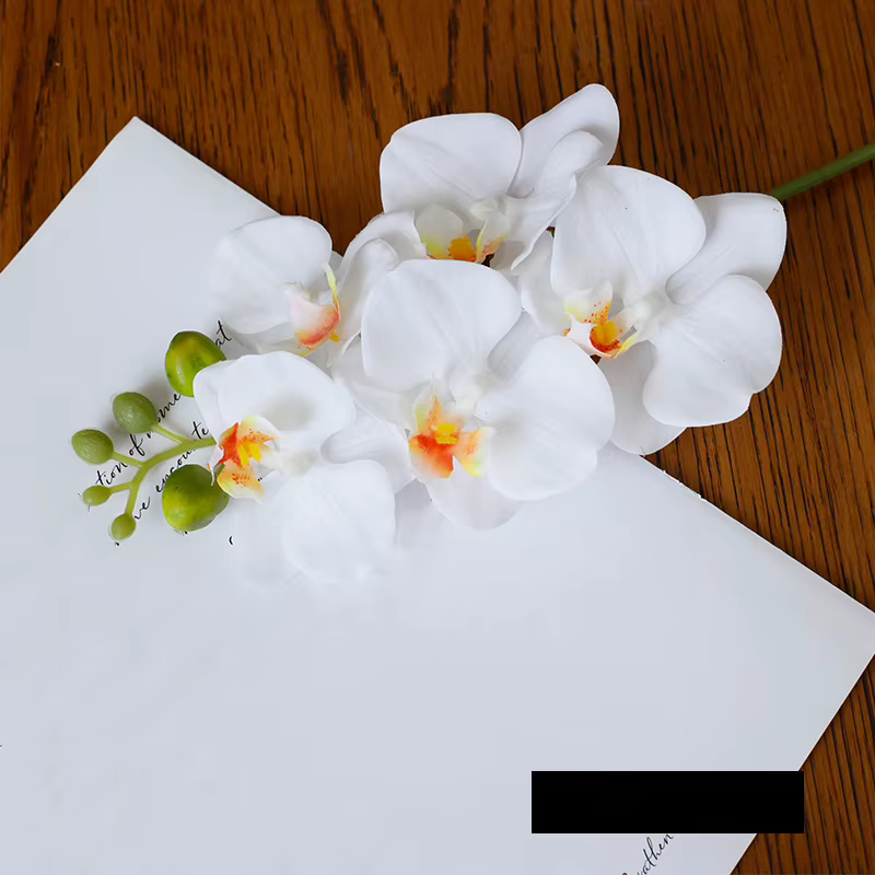 Orchidée papillon au toucher réel, fleur artificielle, toucher hydratant, Phalaenopsis, décoration d