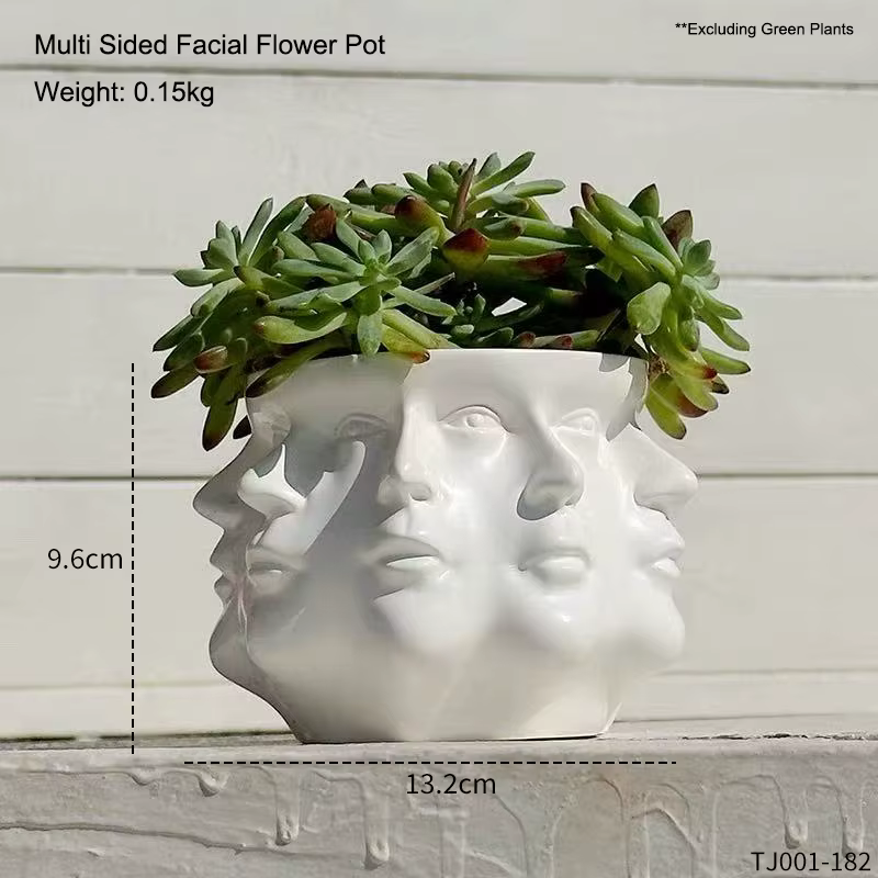 Pot de fleurs abstrait multi-facettes, créatif et unique, pour plantes succulentes, décoration intér
