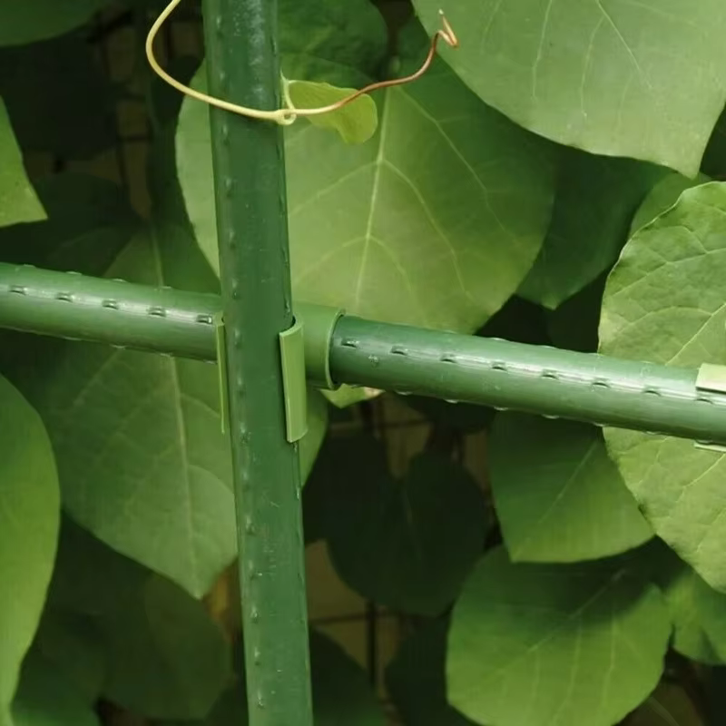 Supports pour plantes, 10 pièces, clip croisé, fournitures de croissance des plantes, piquets de gre