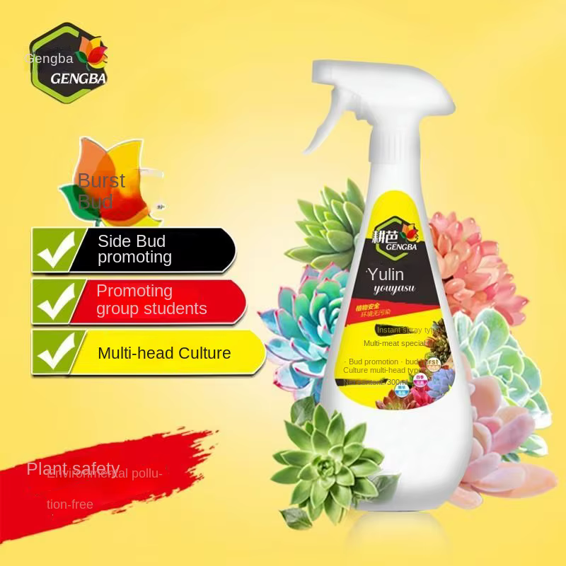 Les eublastines succulentes favorisent la solution nutritive des plantes d'engrais de fleurs de bour