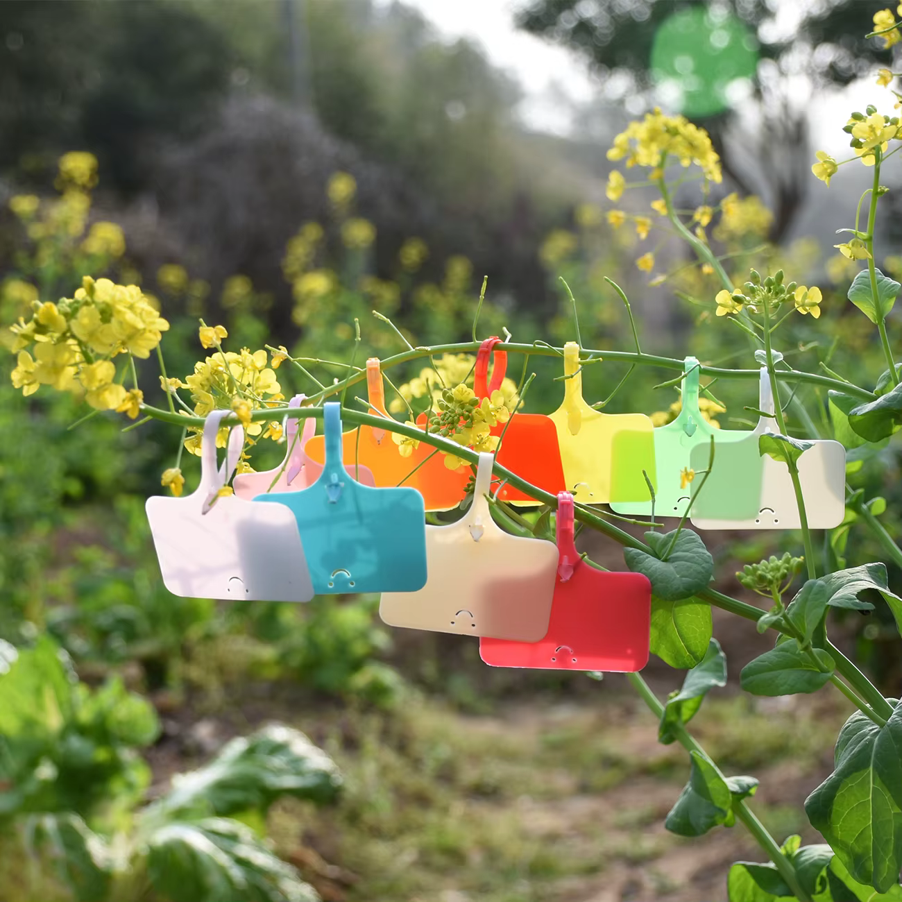 Étiquettes de plantes réutilisables et imperméables pour jardin, 30 à 100 pièces, étiquettes de sign