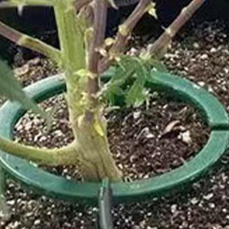 Anneaux d'eau pour plantes, boucle d'égouttement avec Support, Kits d'irrigation goutte-à-goutte aut
