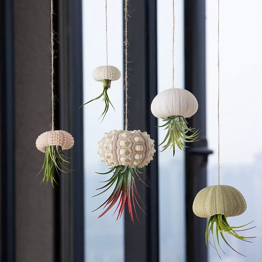 Pot de fleurs suspendu, pots de plantes suspendus, pots de fleurs amusants, pots de fleurs suspendus