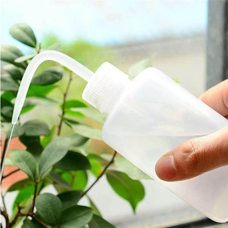 Arrosoir bonsaï pour plantes succulentes, 250/ 500ml, outil de jardinage à bec long