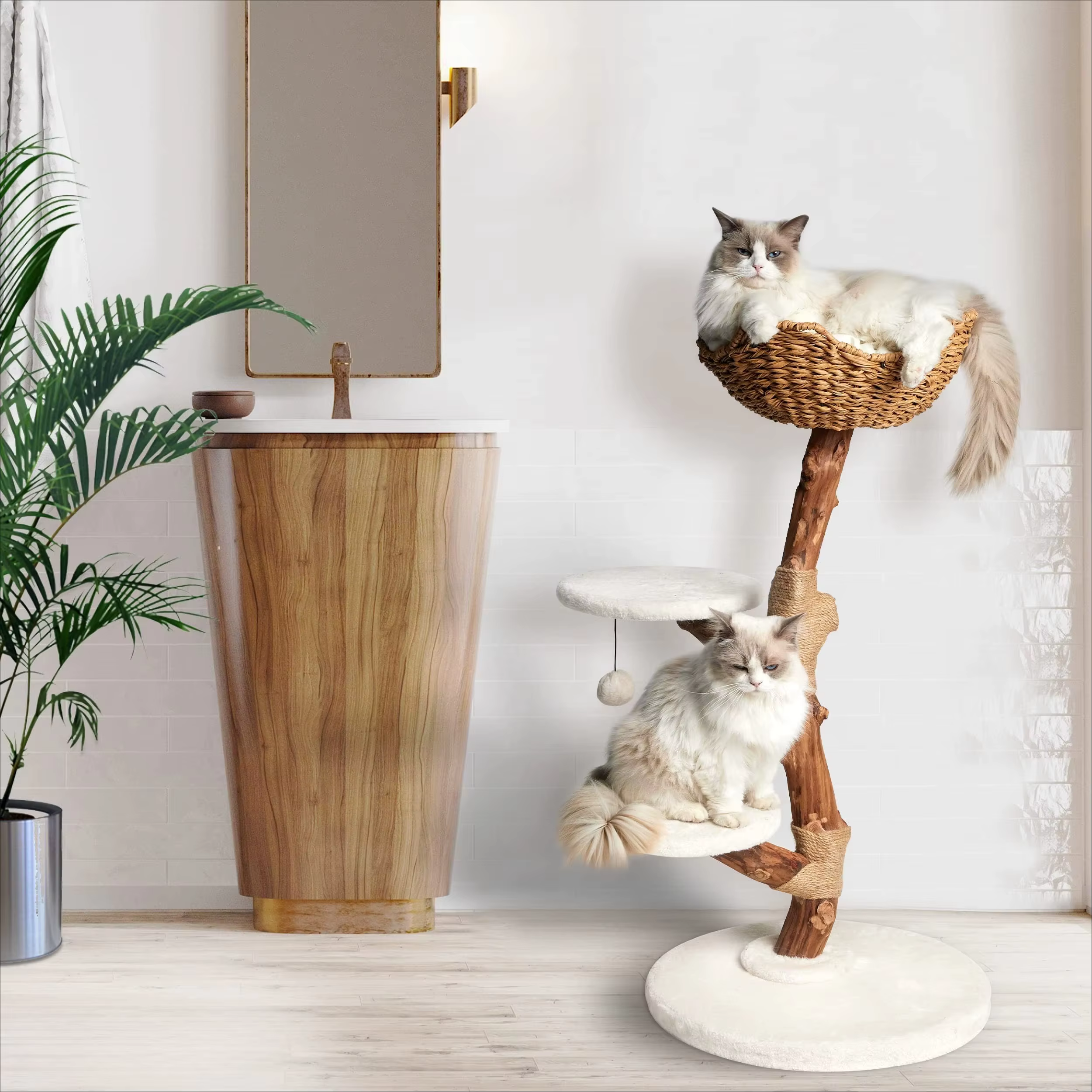 Tour d'arbre à chat de luxe, nouveau design d'usine, branche réelle en bois, Condo de luxe, arbre à 