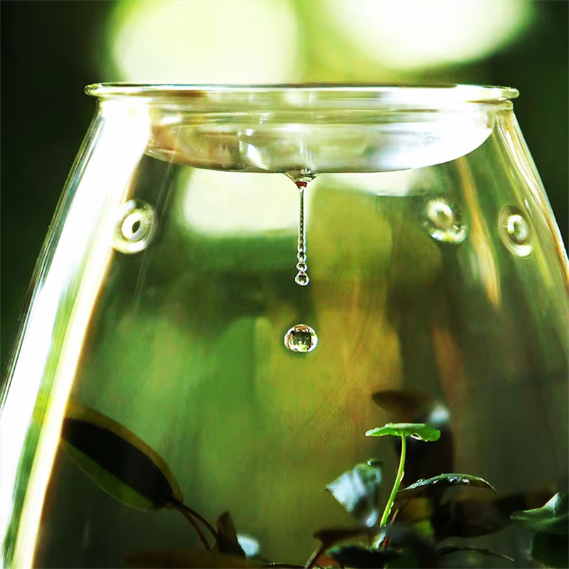 Micro bouteilles en verre de paysage avec couvercle, bouteille de mousse succulente verte fraîche, V