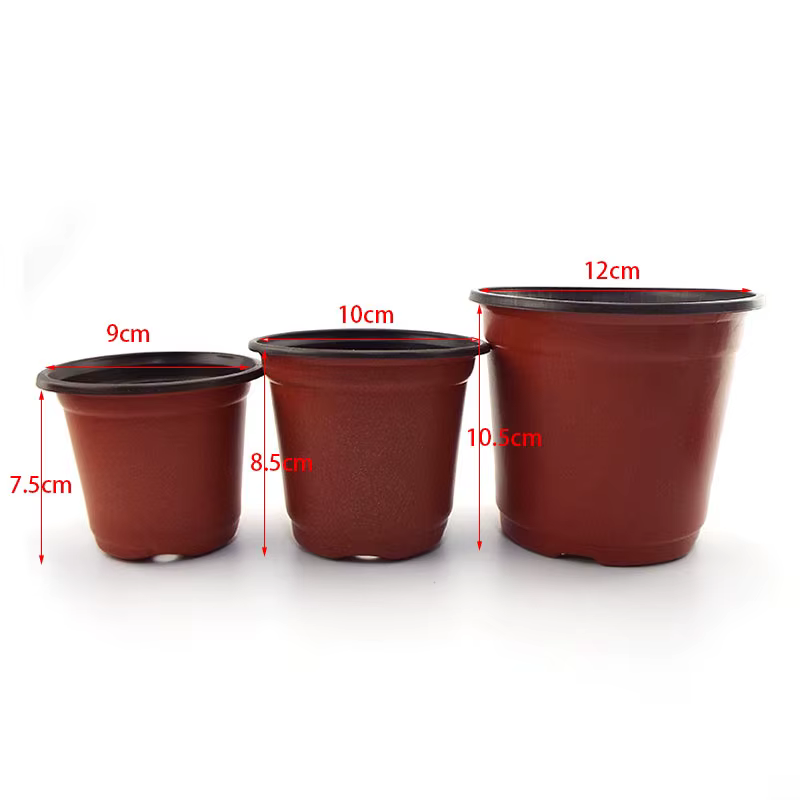 20 pièces/50pcs jardinière pépinière plante poussent Pots tasse pour fleur Pot en plastique outils d
