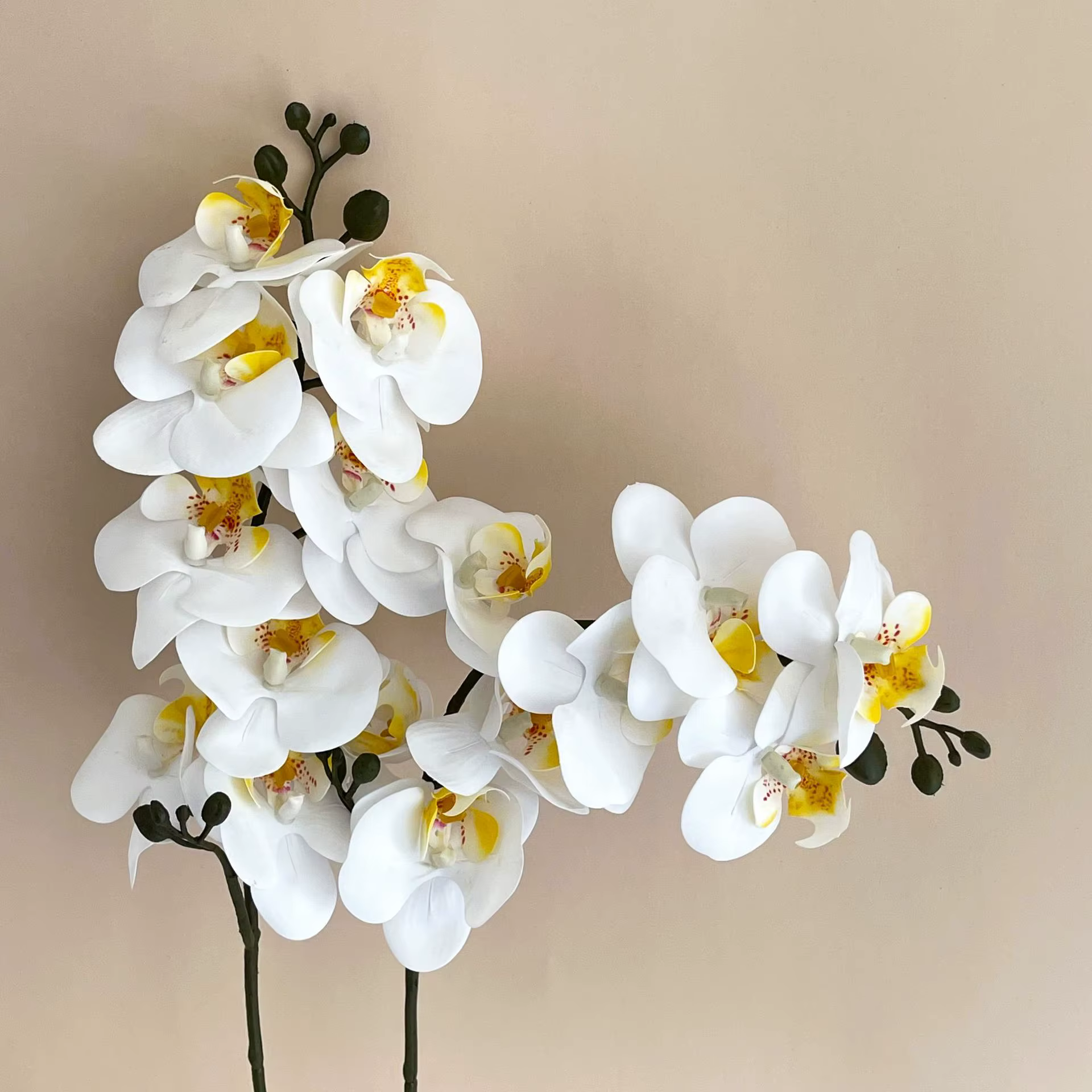 Film d'impression 3D Phalaenopsis, 5 pièces, fleurs artificielles, orchidées au toucher réel, décora
