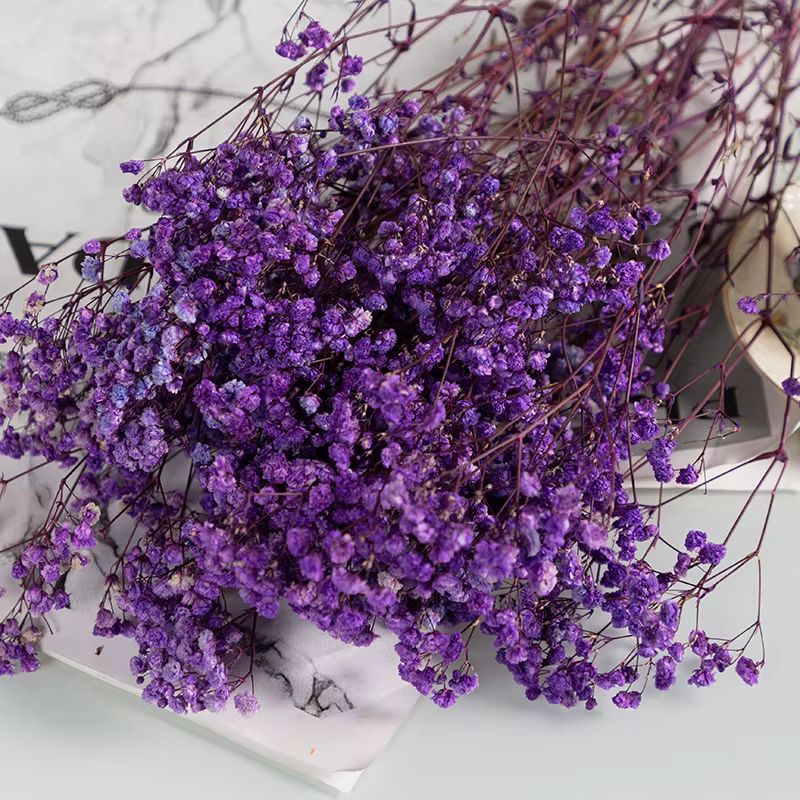 Vraies fleurs séchées gypsophile bébé souffle Bouquet gypsophile saint valentin cadeau décoration de