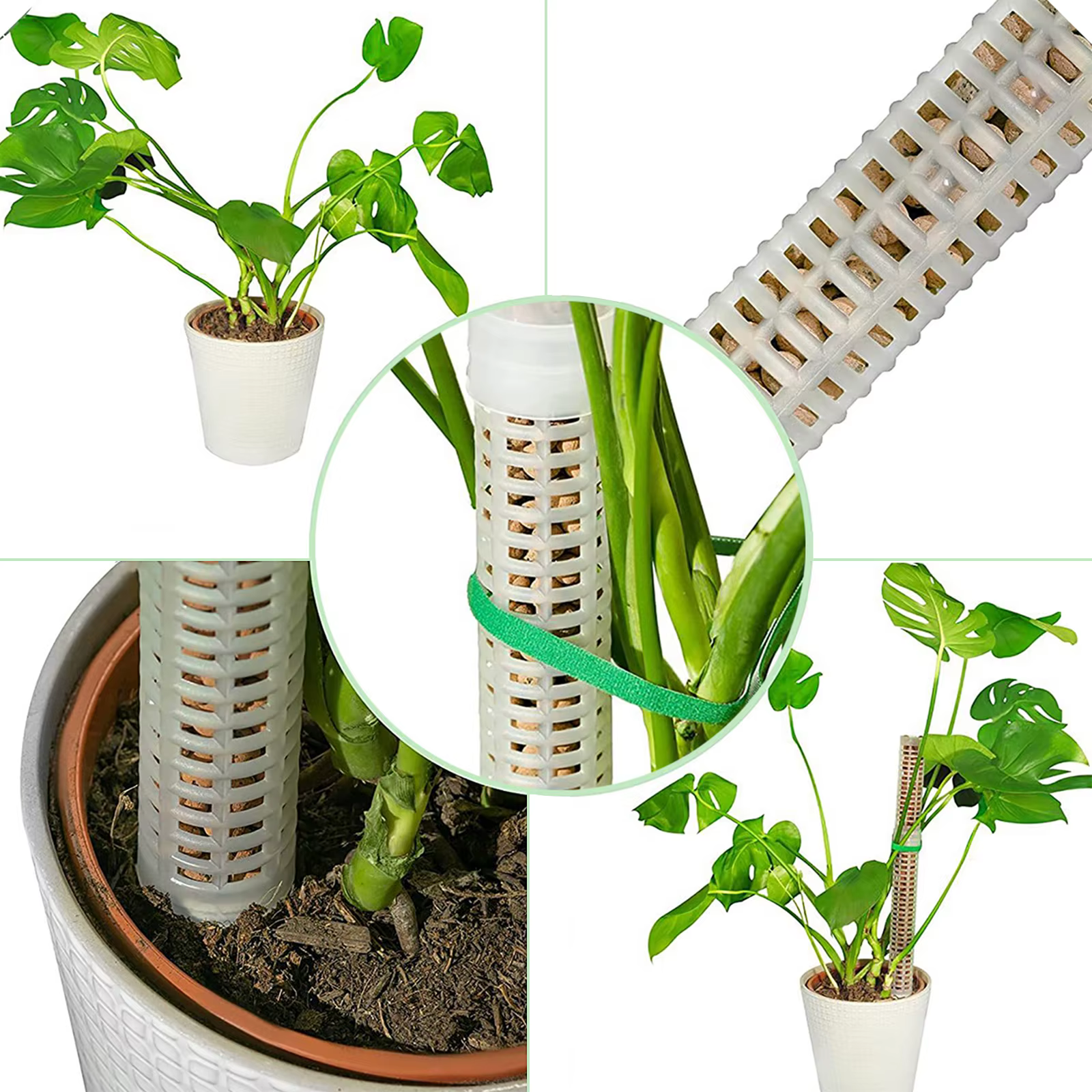 1PC plante escalade treillis empilable maille mousse pôle Monstera plastique filet stéréotypé cocoti