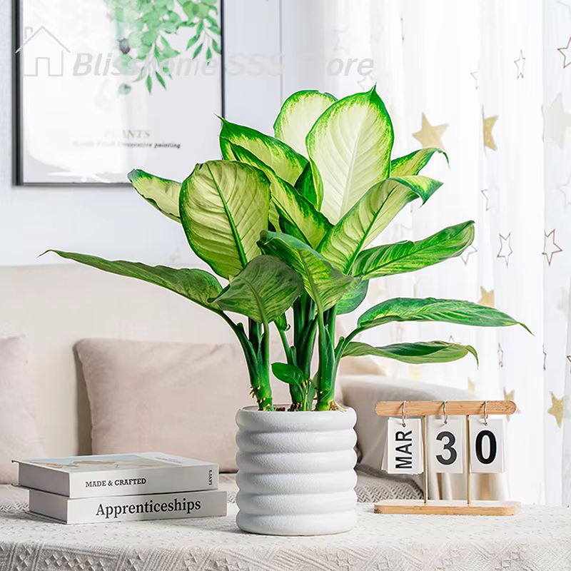 【S】Pots de fleurs d'intérieur polyvalents pour plantes et légumes, pour bureau et maison, haute qual