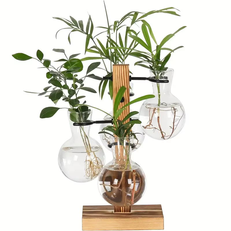 Vase en verre pour plantes hydroponiques, plante de bureau moderne, Terrarium, planteur, ampoule, pl