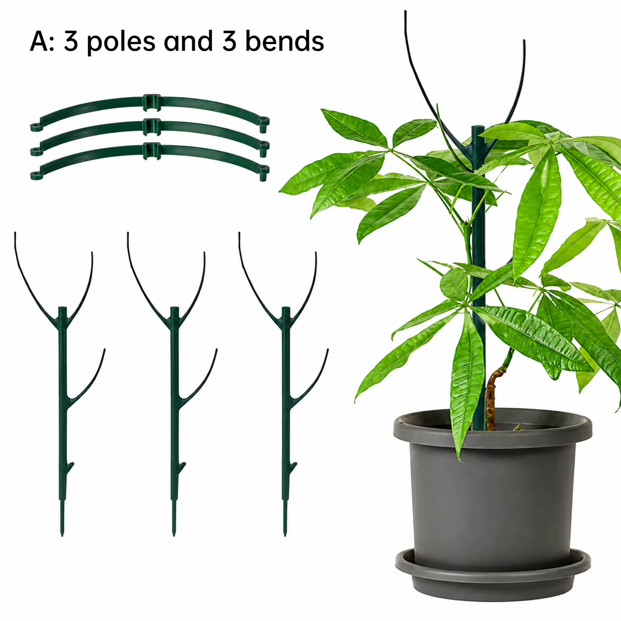 Kit de support pour plantes grimpantes de jardin, poteaux empilables avec attaches pour la croissanc