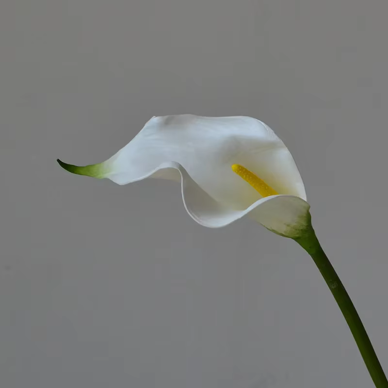 Fleurs artificielles de lys OligCalla, 10 pièces, décoration de la maison, salon, table, fête de mar