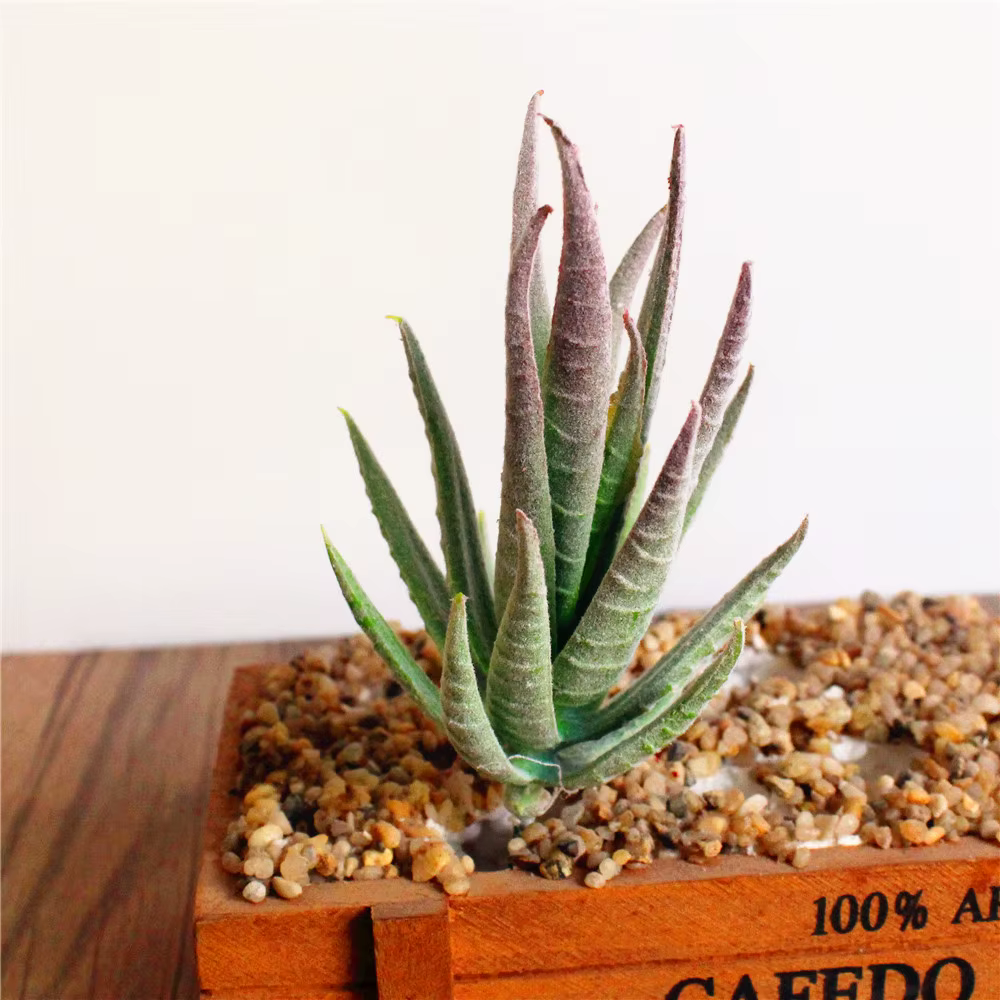 Plantes succulentes artificielles pour la décoration intérieure, fleurs artificielles, fleurs de pay