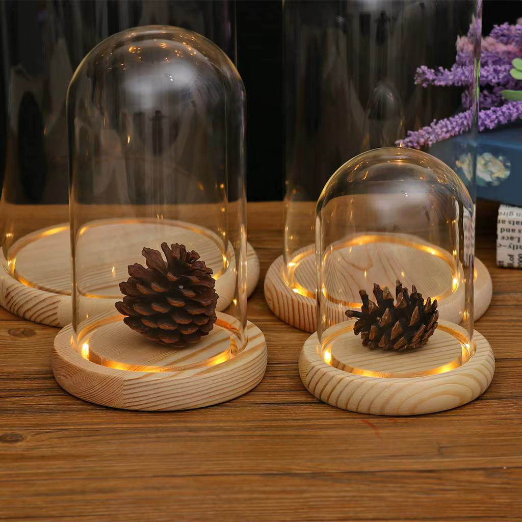 Présentoir de table couvercle en verre Terrarium conteneur décor fleurs sèches ornements artisanat c