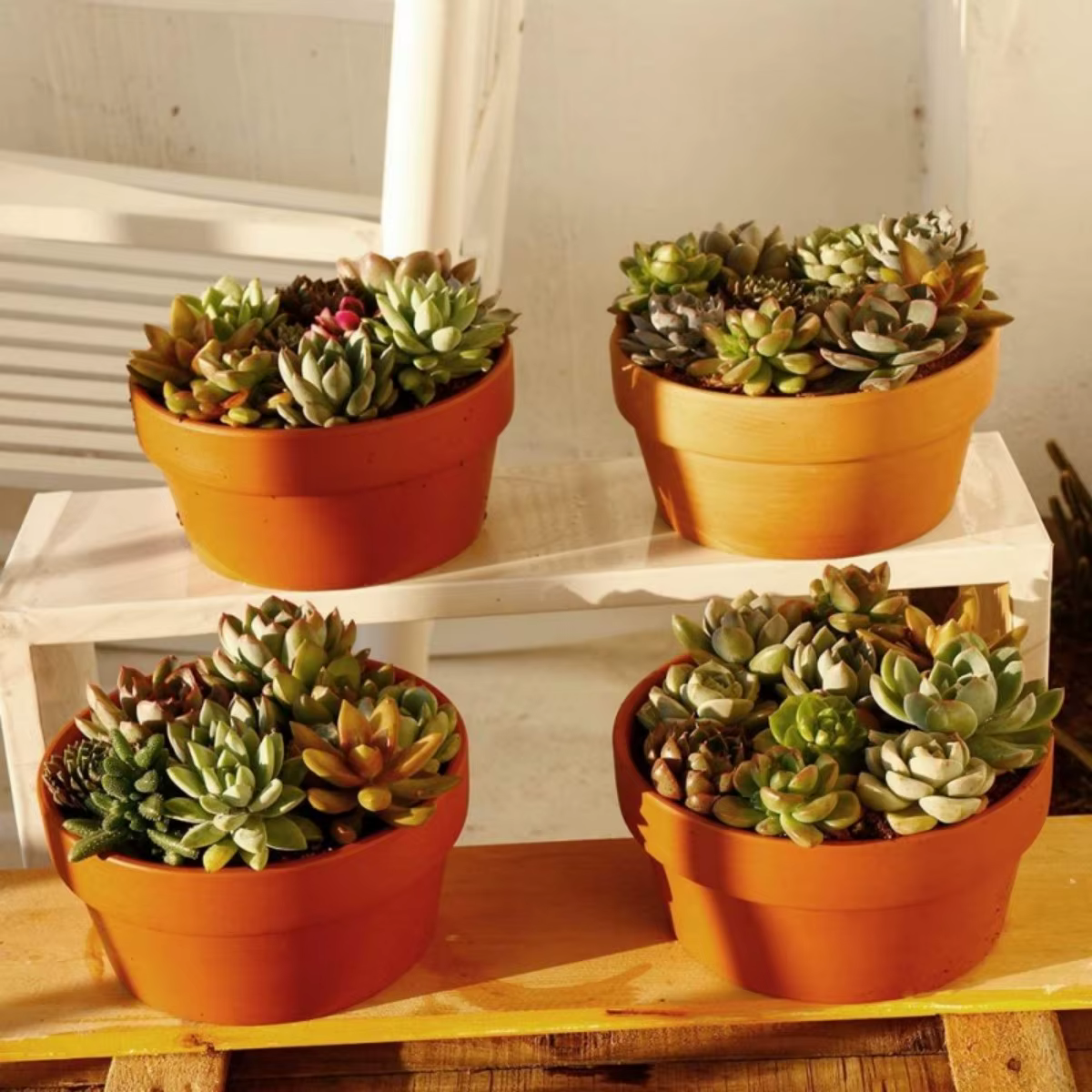 Pots de fleurs en terre cuite, 3.5 "x 2.2", 6 pièces, jardinière en argile et poterie avec trou de D