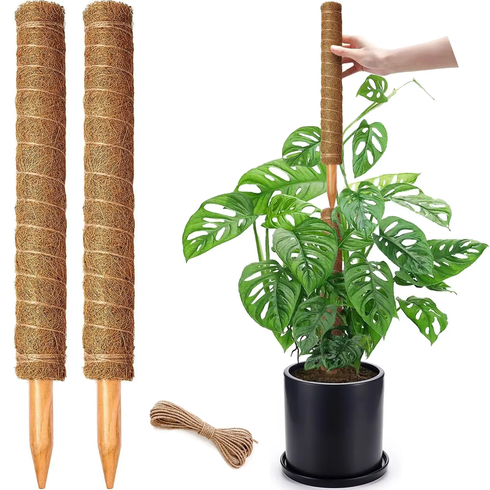 Lot de 4/8 piquets de soutien empilables pour plantes, tiges hautes pour Monstera, supports pour pla
