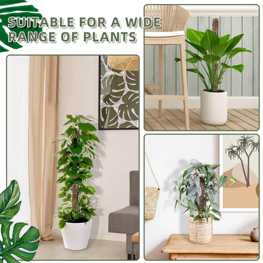 Bâton d'escalade pour plantes, support de plante, cadre en treillis, colonne de mousse de sphaigne d