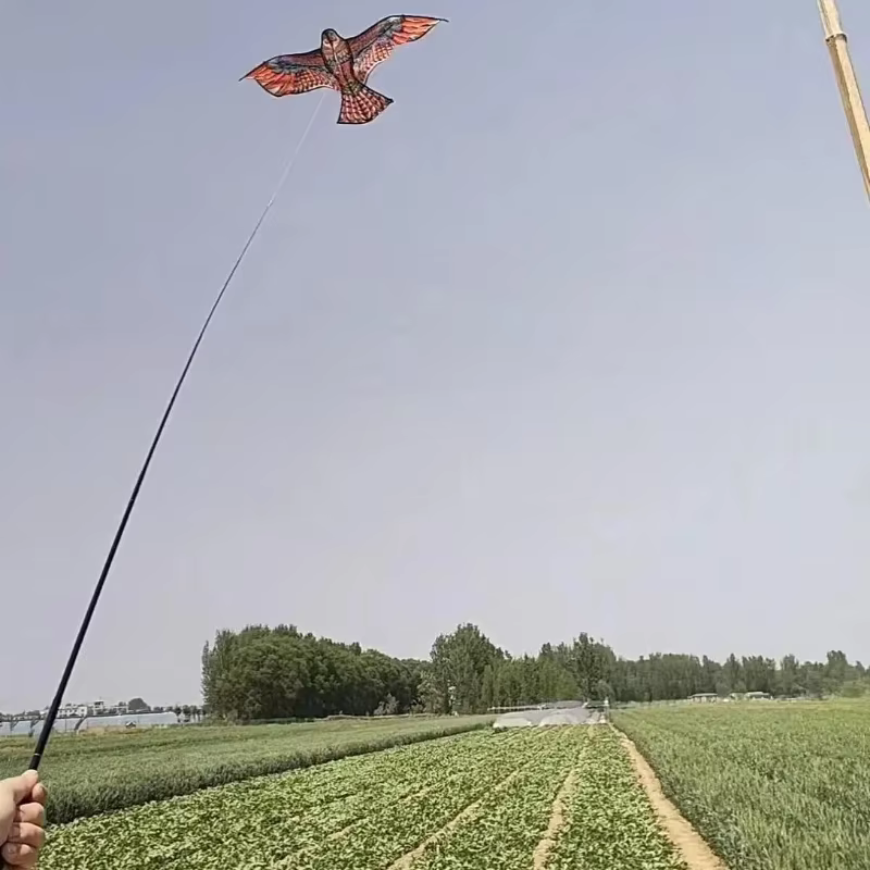 Anti oiseau volant faucon cerf-volant répulsif d'oiseaux grands cerfs-volants aigle épouvantail leur