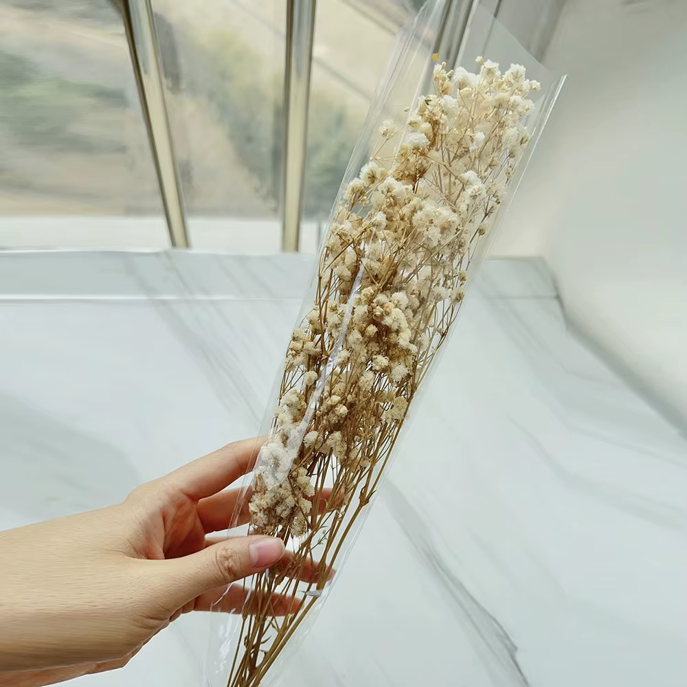 Lot de 5 fleurs éternelles de gypsophile séchées naturelles, colorées, pour bouquet de festival, arr