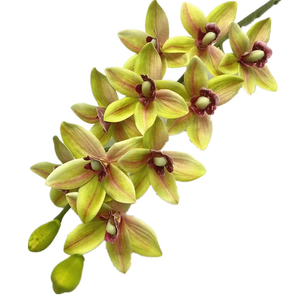 Un Cymbidium artificiel Hookerianum 10 têtes simulé Vanda Cymbidium Tropical Phalaenopsis tigre orch