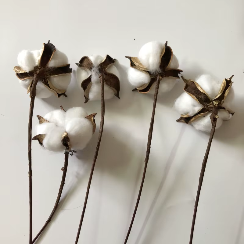 Fleurs de coton séchées naturellement, plantes artificielles, branche florale pour mariage, décorati