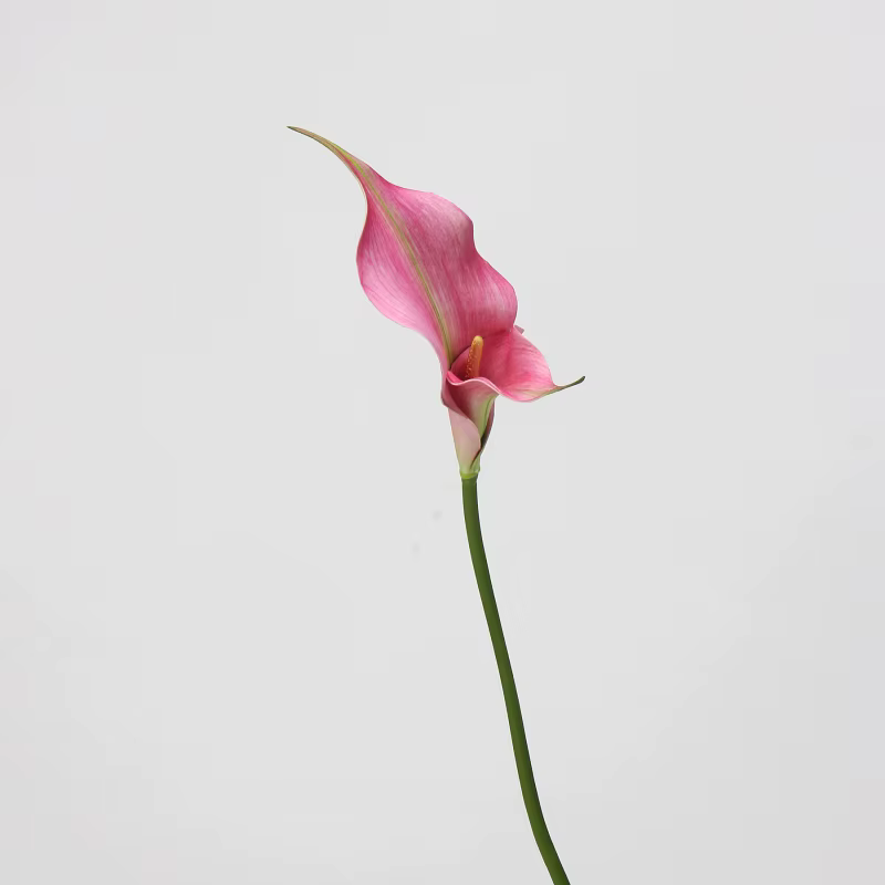 EVA – fleur artificielle de lys Calla, matériaux d'arrangement Floral de mariage, Table de salon, dé
