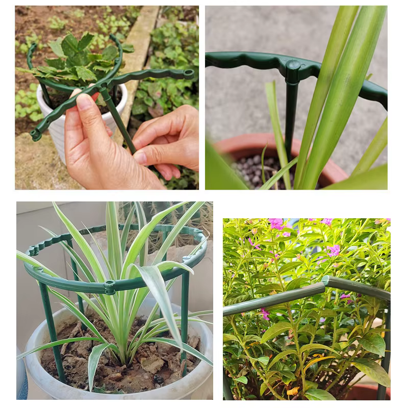 Cage de Support pour plantes de jardin, Support de fleurs en plastique demi-cercle, tige de fixation