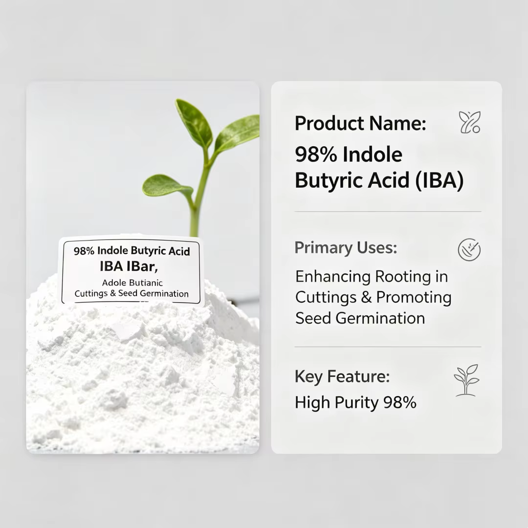 Engrais pour l'enracinement des fleurs ornementales, poudre d'acide indole-butyrique (IBA) à 98% pou