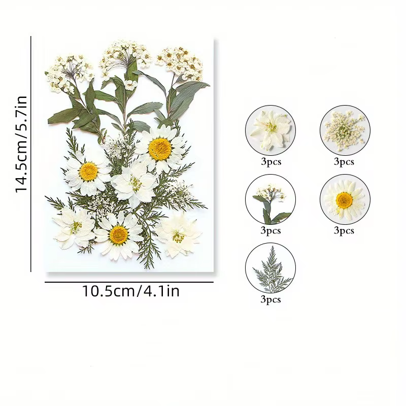 14 styles de fleurs séchées DIY, élégantes et magnifiques, fleurs artificielles de mignonnonneux, dé