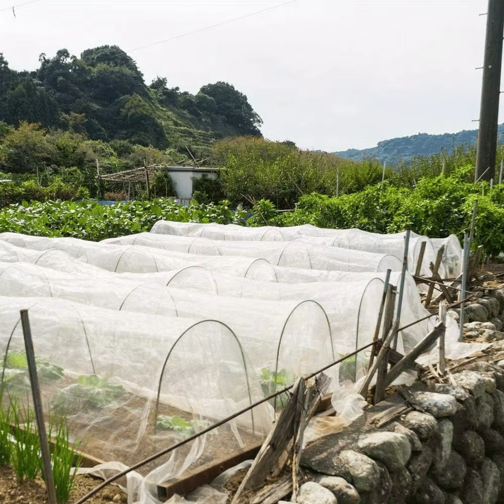 Arche de serre DIY pour tunnel végétal, arches de support en fibre de verre antirouille, idéales pou