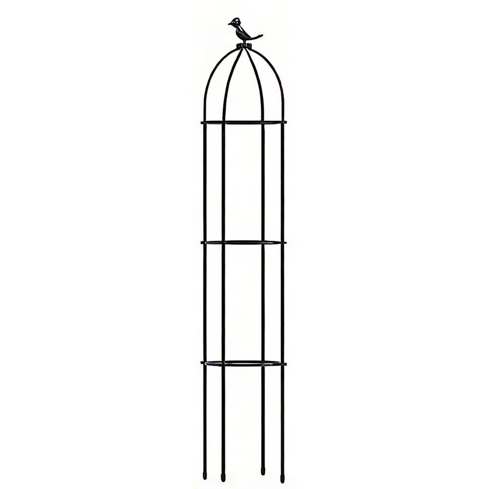 Treillis pour plantes, cadre décoratif d'extérieur, supports pour piquets de plantes, pour l'intérie