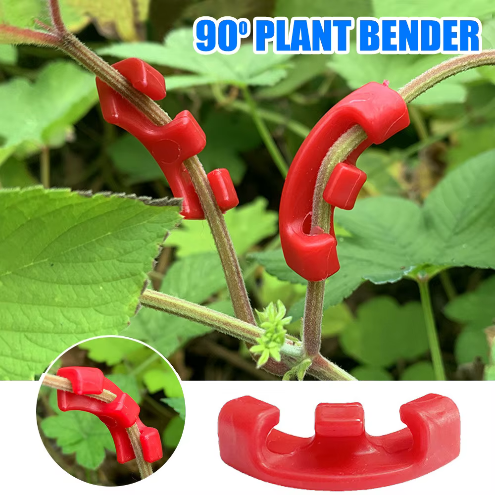 Cintreuses de plantes à 90 degrés, entraîneur de Manipulation de croissance, Tutors pour plantes, Cl