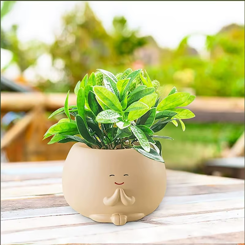 Pot de jardinière à tête suspendue pour plantes d'intérieur et d'extérieur, Pots succulents, sourire