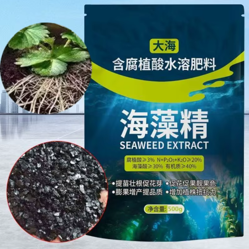 Extrait d'algues biologiques de haute pureté en forme de feuille noire, engrais soluble dans l'eau, 