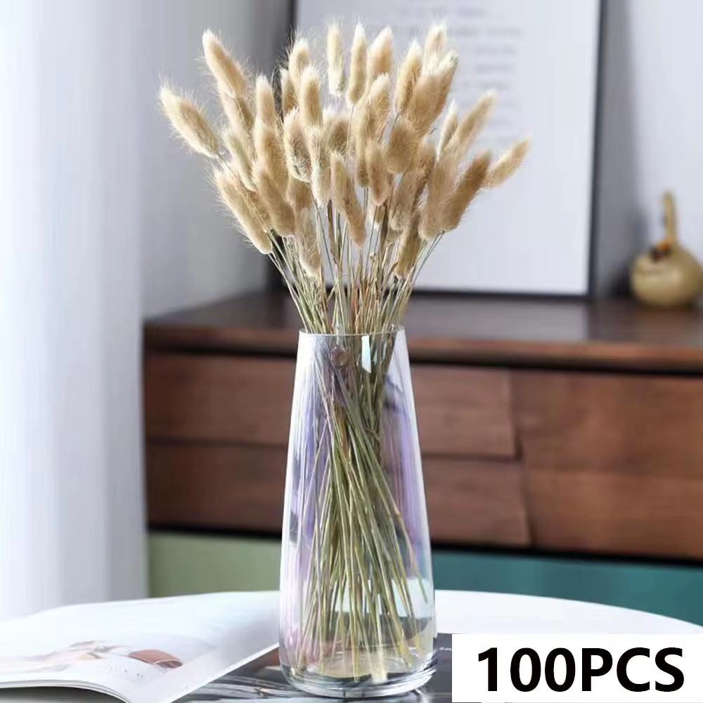 Fleurs séchées naturelles : Bouquet d'herbe de la pampa et queues de lapin, style bohème chic, pour