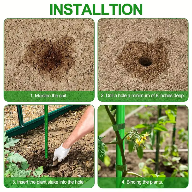 Piquets de support de plantes polyvalents, "Croissance robuste", treillis durable pour légumes et vi